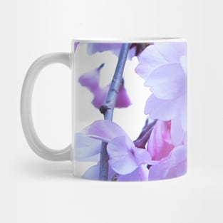 Photography - Dreamy sakura blossom Mug